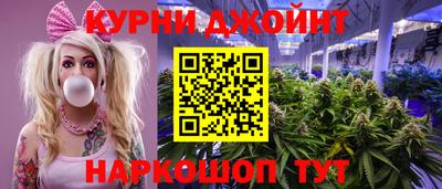 сатива Гусиноозёрск