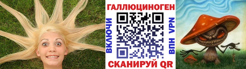 mega ссылки  Лосино-Петровский  Галлюциногенные грибы Cubensis  что такое  